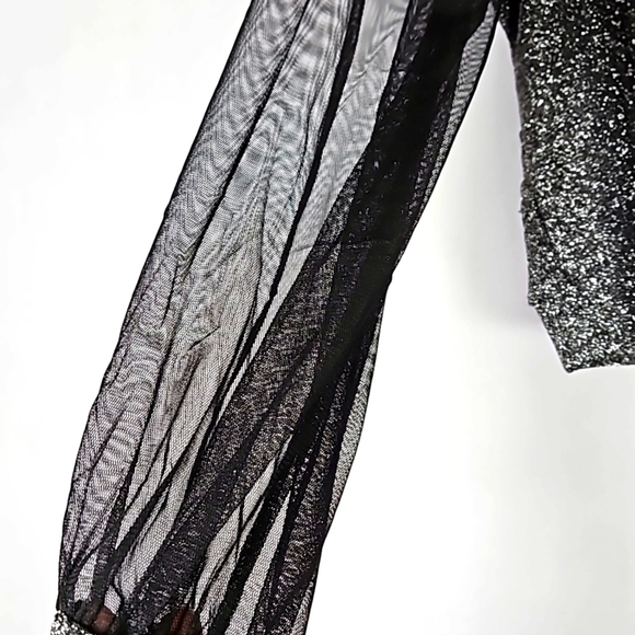 Metallic Cropped Top Sheer Mesh Long  Sleeve. - Picture 4 of 7